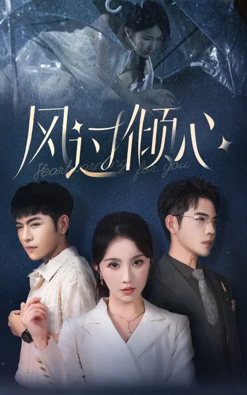 《风过倾心》：微风拂动，怦然心动的治愈系恋曲