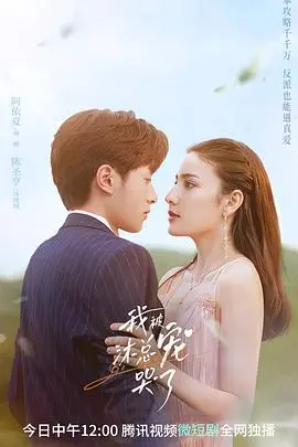 《我被沐总宠哭了》：霸道总裁爱上我？高甜撒糖，少女心炸裂！