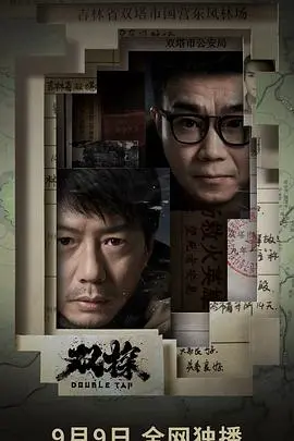 《双探》：悬疑惊魂夜，双雄破迷局，国产刑侦剧的深度与人性拷问